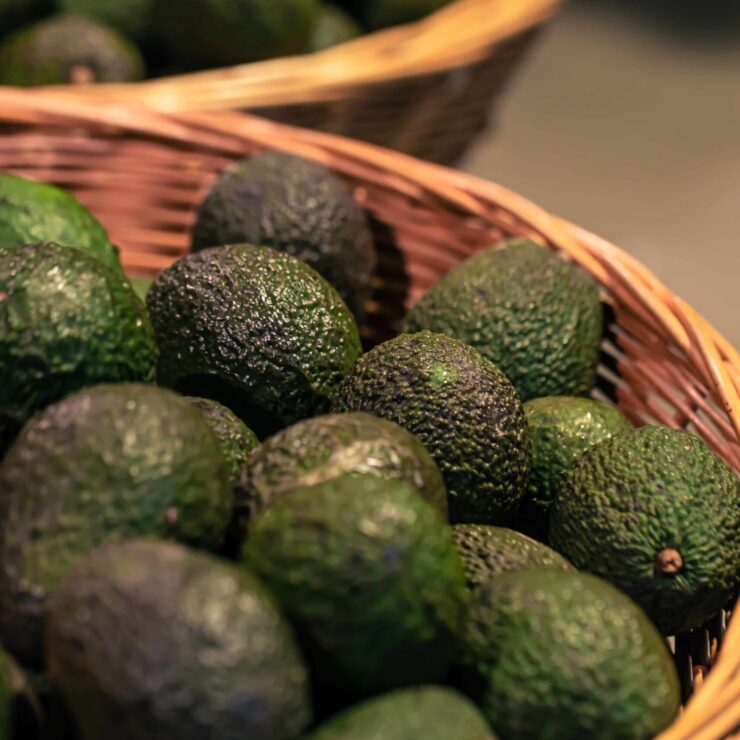 Avocado