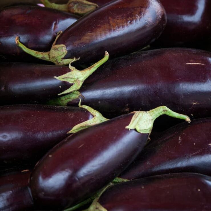 aubergines