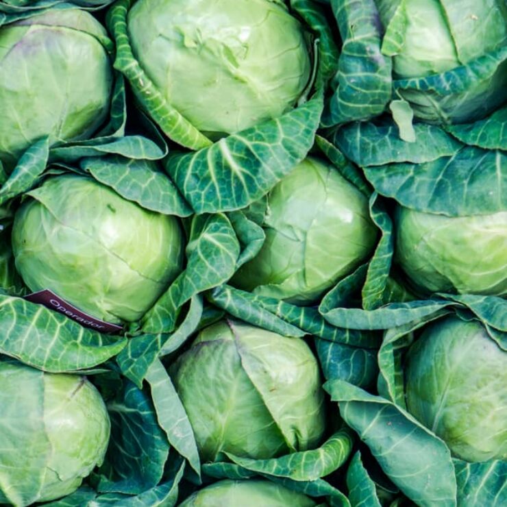 cabbages