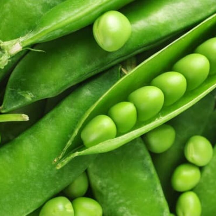 greenpeas