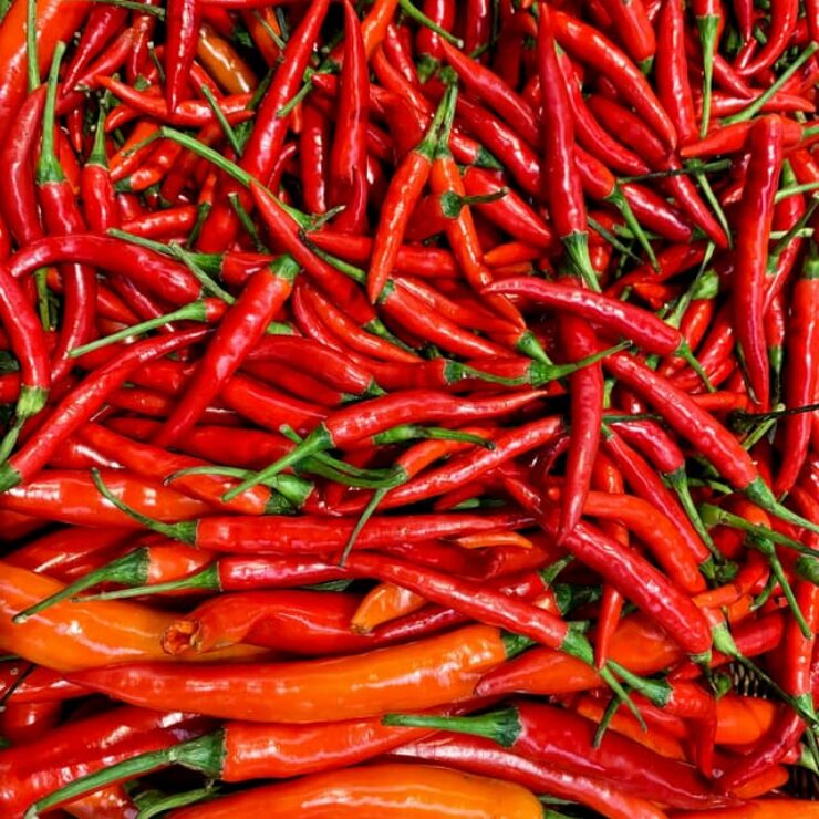 red-chilli