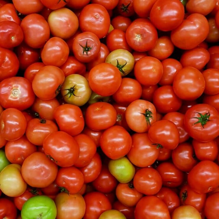 tomatoes