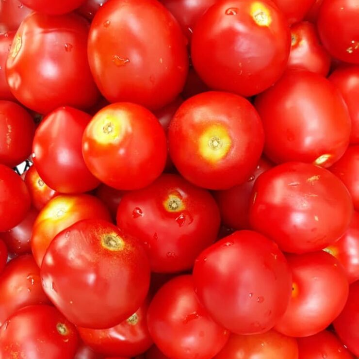 tree-tomatoes