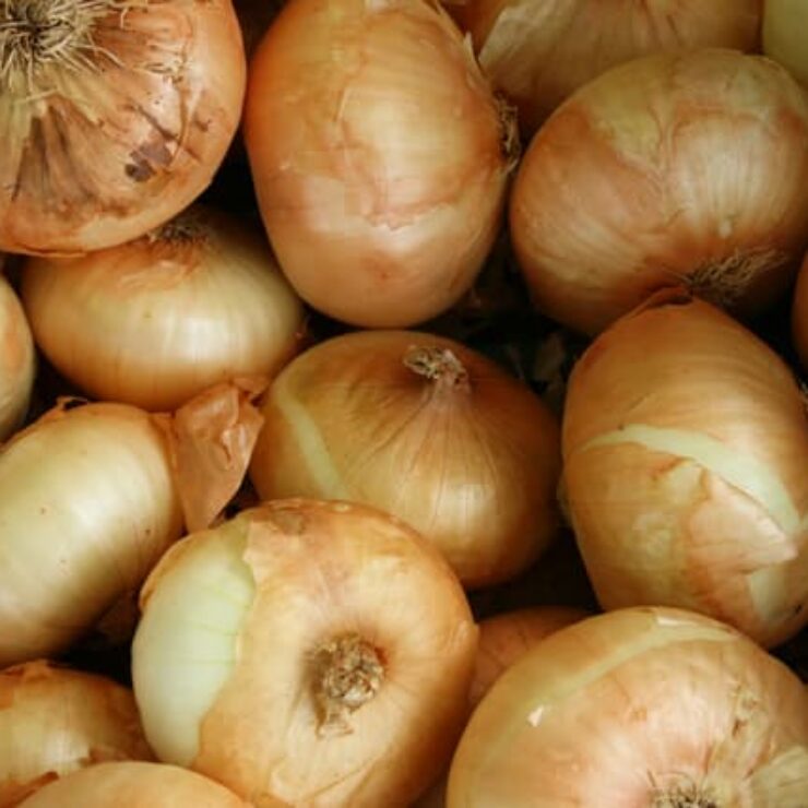 white-onions