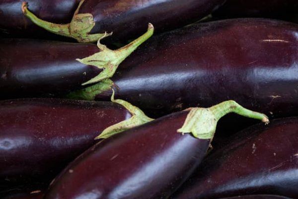 aubergines