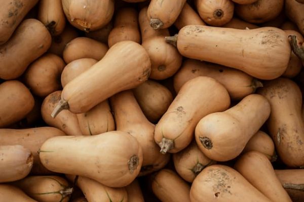 butternut
