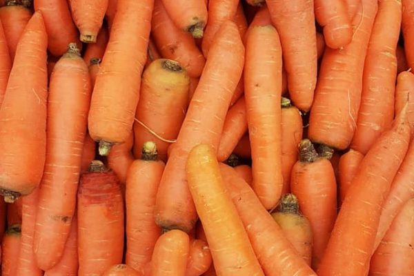 carrots