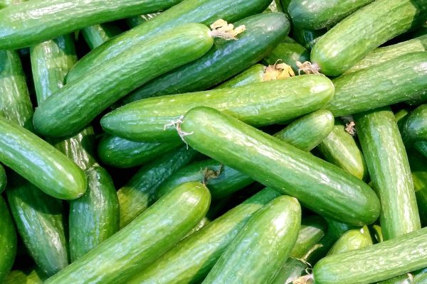cucumber