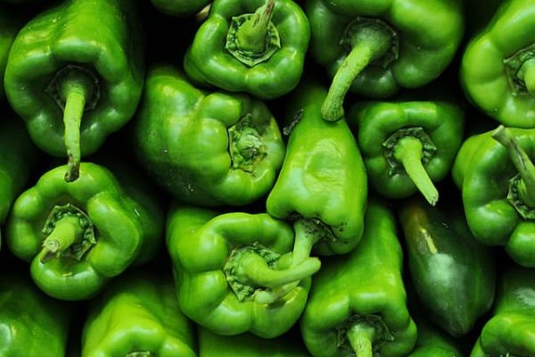 green-bellpepper