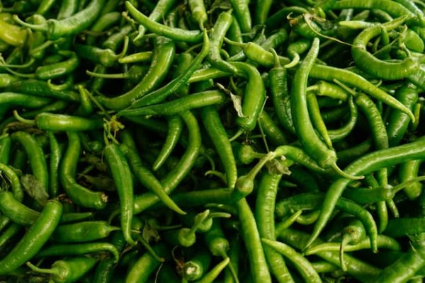 green-chilli