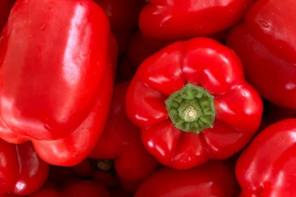 red-bellpepper