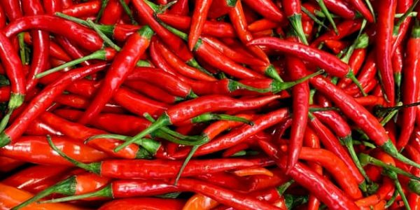 red-chilli
