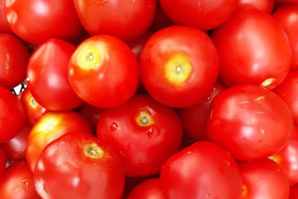 tree-tomatoes